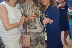 Brasiliens nationaldag firande 2019