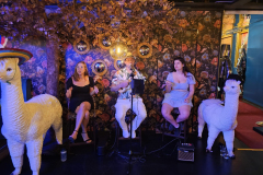 Churrasco-pa-UMAMI-GRILL-2024-14