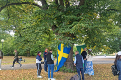 Picknick-i-Hagaparken-20229
