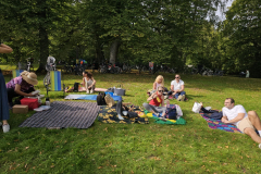 Picknick-i-Hagaparken-20236
